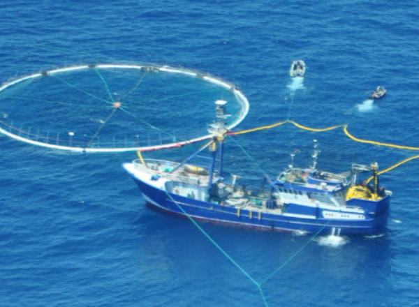 Ship and boat harvesting tuna