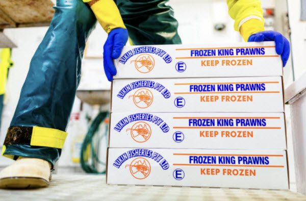 Dinko Tuna - King prawns for order Man organizing boxes of Frozen King prawns