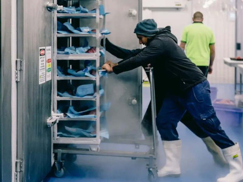 Dinko Tuna - Reliable Cold Chain Logistics men at work