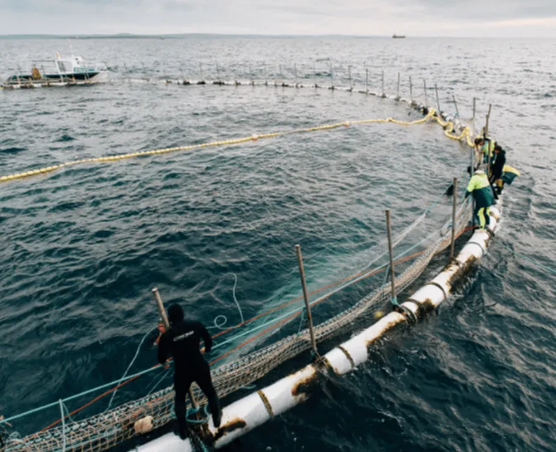 Dinko Tuna - The Three Core Principles of MSC Certification open ocean