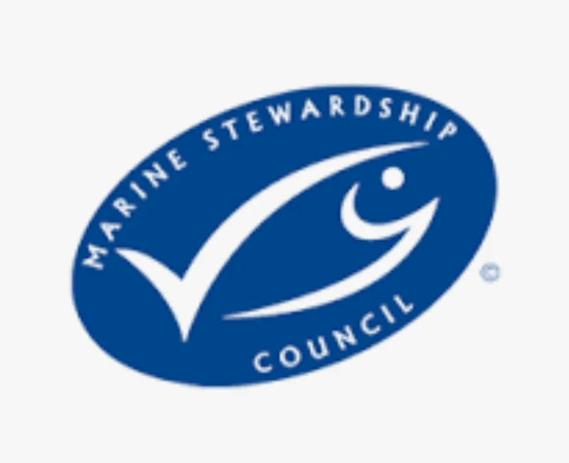 Dinko Tuna - Understanding the Marine Stewardship Dinko Tuba logo