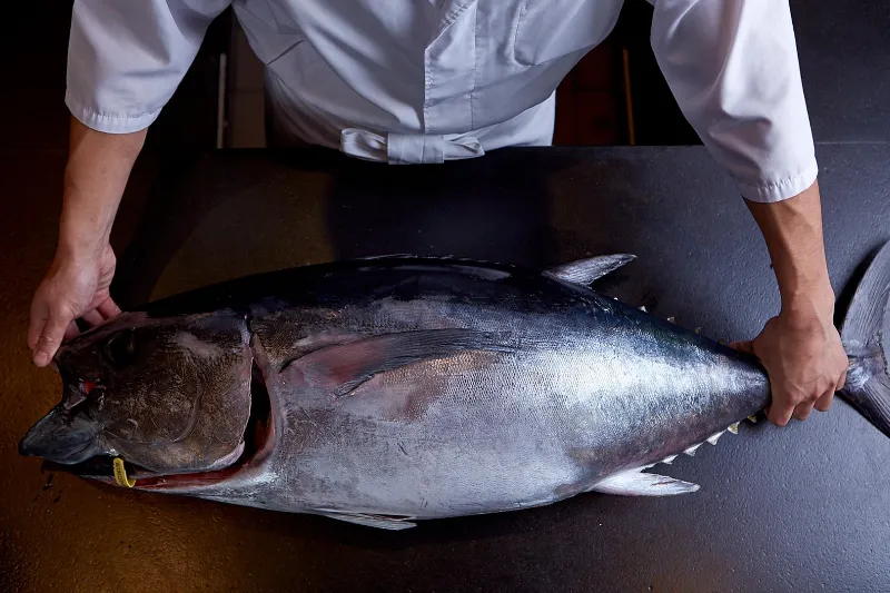 Dinko Tuna - Sustainability in Every Tin Big tuna fish