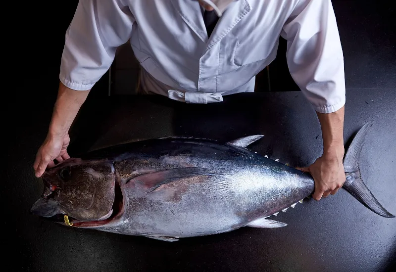 man holding a bluefin tuna on the table